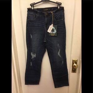Nwt Indigo Rein Distressed Raw Hem Crop 